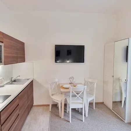 Finnem Zikova Apartament *
