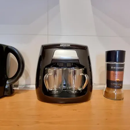 Apartman Finnem Zikova Prága